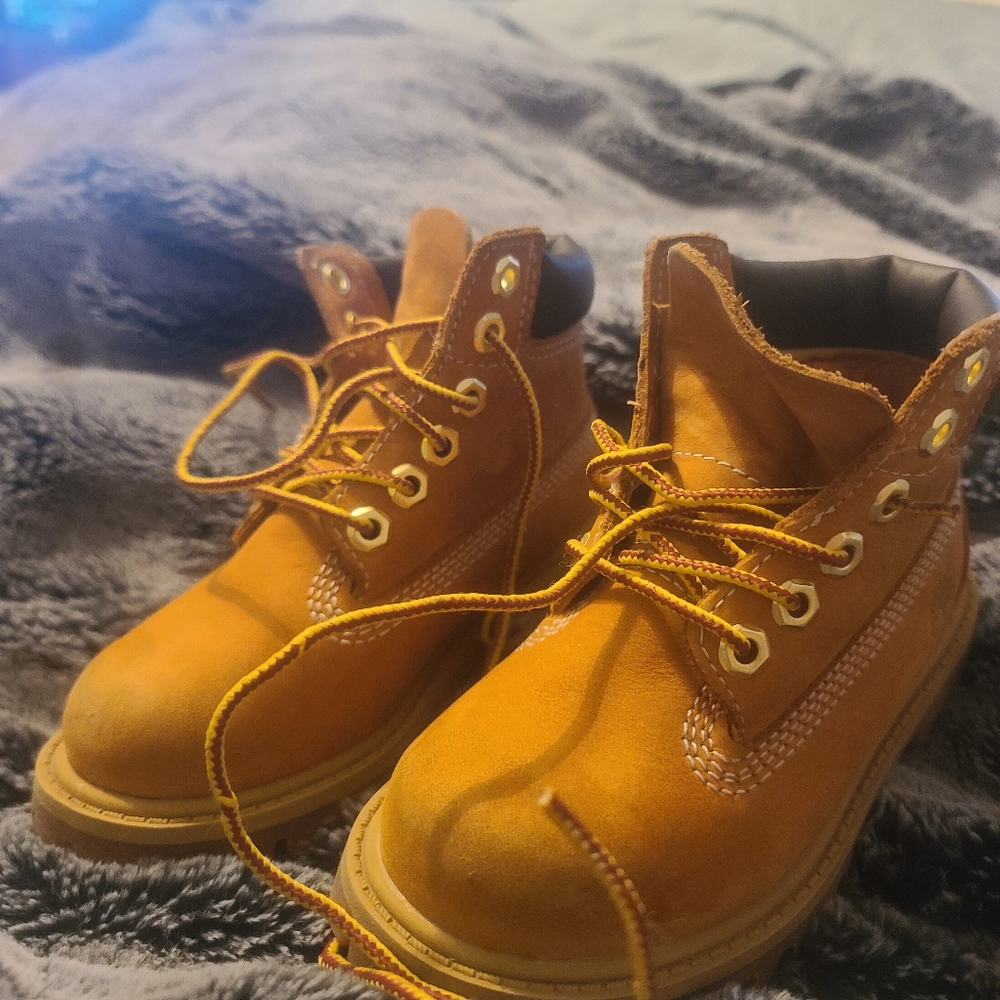 Timberland - Picture 6 of 7